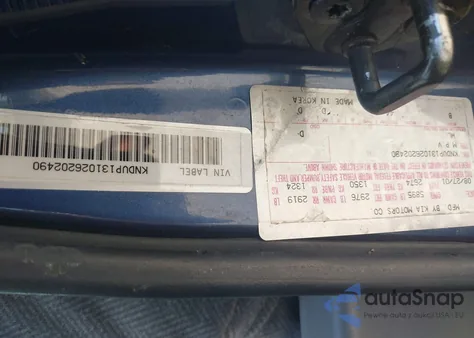 2002 Kia Sedona Ex/Lx from USA, damaged, VIN KNDUP131026202490